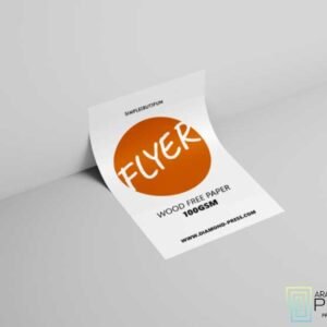 Flyer B4\B5 (Glossy paper 115gsm) for printing Flyer Economy (Wood Free paper 100gsm)