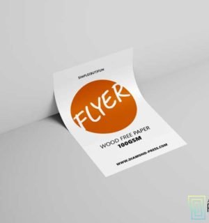 Flyer B4\B5 (Glossy paper 115gsm) for printing Flyer Economy (Wood Free paper 100gsm)